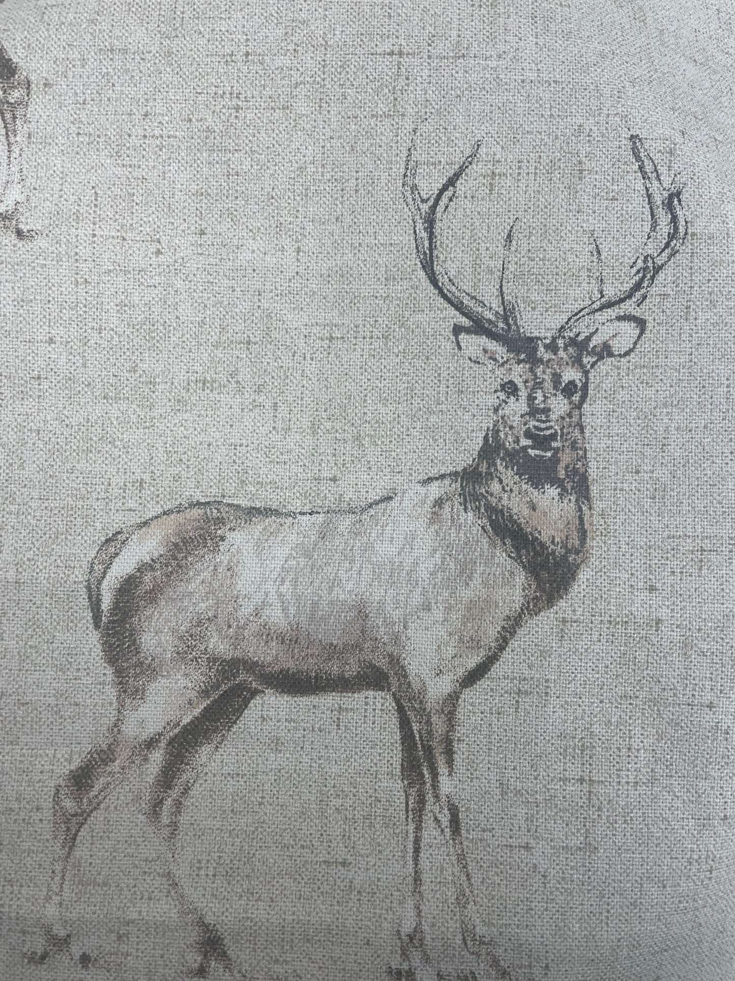 Stag Printed Cotton Napkin (Pack of 4) Natural Earth Shades